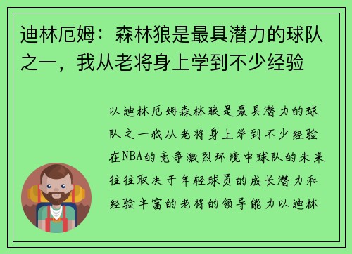 迪林厄姆：森林狼是最具潜力的球队之一，我从老将身上学到不少经验