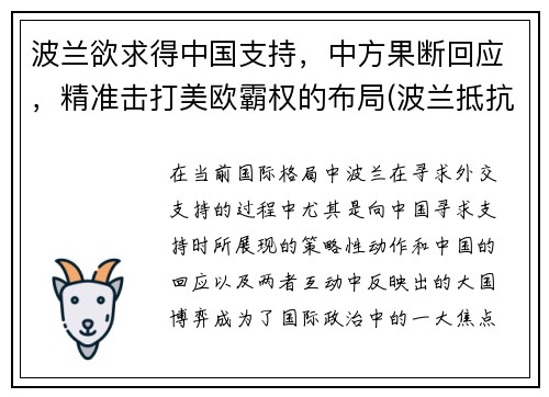 波兰欲求得中国支持，中方果断回应，精准击打美欧霸权的布局(波兰抵抗)