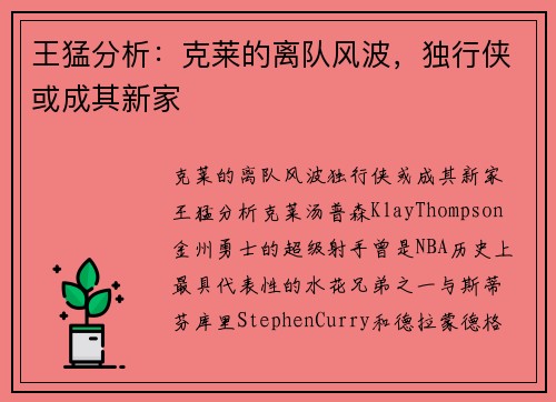 王猛分析：克莱的离队风波，独行侠或成其新家