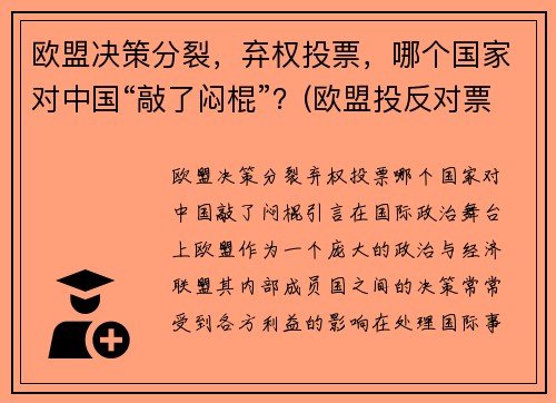 欧盟决策分裂，弃权投票，哪个国家对中国“敲了闷棍”？(欧盟投反对票)