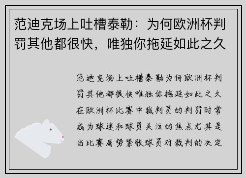 范迪克场上吐槽泰勒：为何欧洲杯判罚其他都很快，唯独你拖延如此之久？