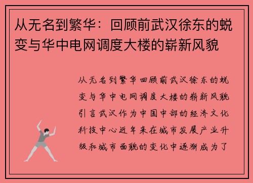 从无名到繁华：回顾前武汉徐东的蜕变与华中电网调度大楼的崭新风貌