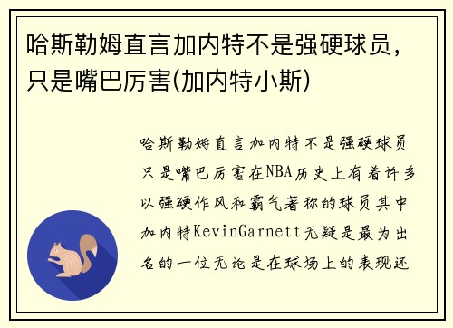 哈斯勒姆直言加内特不是强硬球员，只是嘴巴厉害(加内特小斯)